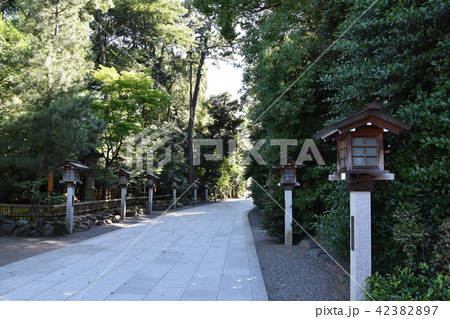 寒川神社　神奈川県寒川町 42382897