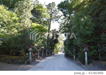 寒川神社 神奈川県寒川町 寒川神社 神奈川県寒川町 42382900