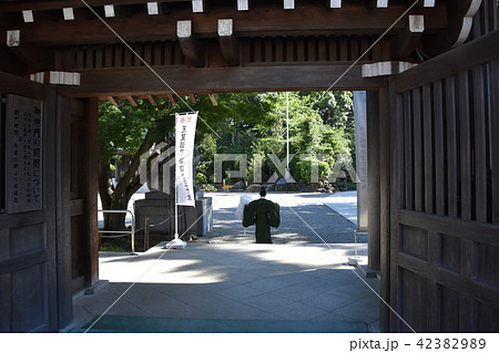 寒川神社　神奈川県寒川町 42382989