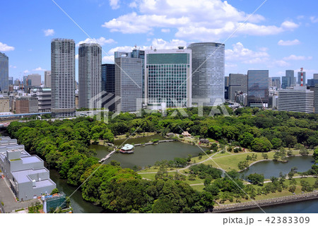 浜離宮恩賜庭園 42383309
