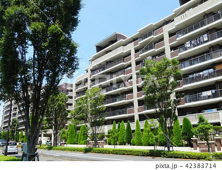 東京郊外の新興住宅地に並ぶ低層マンション 東京郊外の新興住宅地に並ぶ低層マンション 42383714