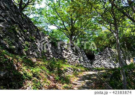 佐伯市観光スポット 佐伯城跡の写真素材 [42383874] - PIXTA