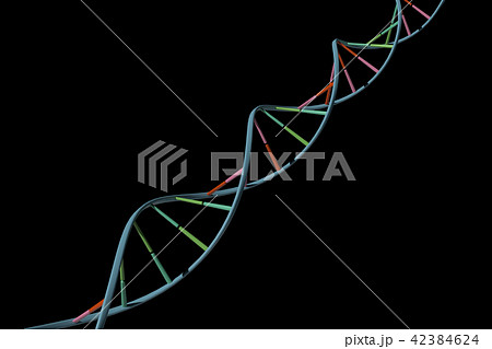DNA, 遺伝子 42384624