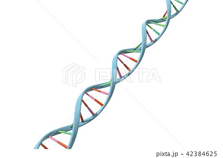 Dna 遺伝子のイラスト素材