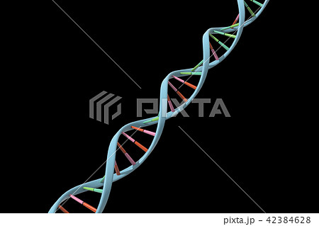 DNA, 遺伝子 42384628