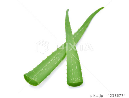 Aloe vera fresh leaf on white Aloe vera fresh leaf on white 42386774