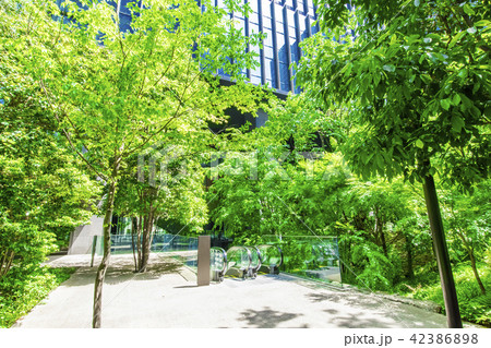 緑の多いオフィスビルのテラス 緑の多いオフィスビルのテラス 42386898