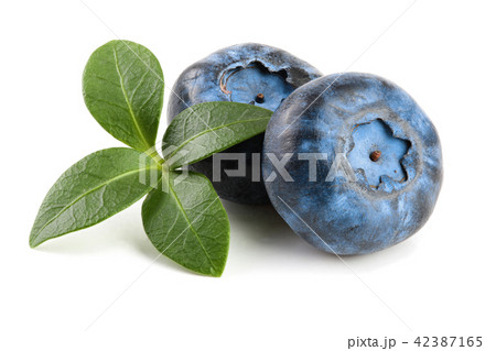 fresh blueberry with leaf isolated on white background 42387165
