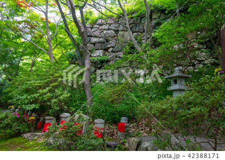 村雲 お願い地蔵尊 村雲 お願い地蔵尊 42388171