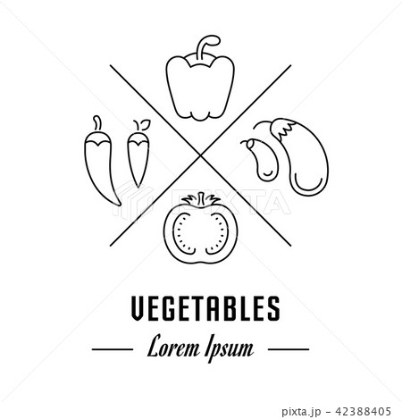 Vector Line Banner Vegetables. 42388405