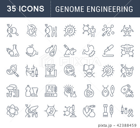 Set Vector Line Icons of Genome Engineering. Set Vector Line Icons of Genome Engineering. 42388459