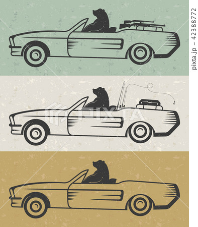 Vintage Illustration of Bear Vintage Illustration of Bear 42388772