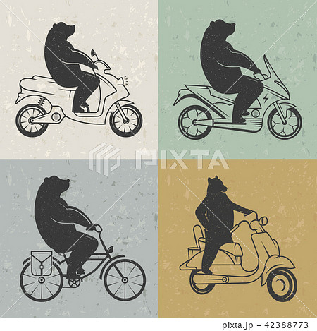 Vintage Illustration of Bear Vintage Illustration of Bear 42388773