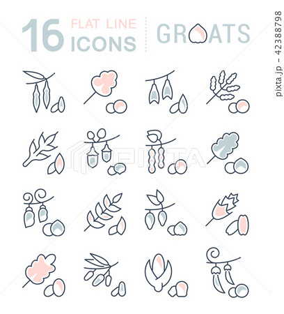 Set Vector Line Icons of Groats 42388798