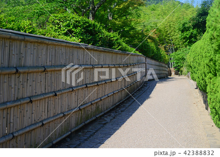 嵯峨野の竹垣-3 嵯峨野の竹垣-3 42388832