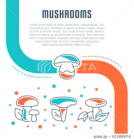 Website Banner and Landing Page of Mushrooms. 42388974