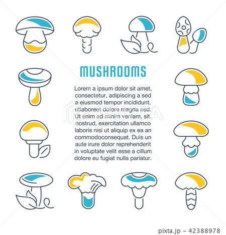 Website Banner and Landing Page of Mushrooms. Website Banner and Landing Page of Mushrooms. 42388978