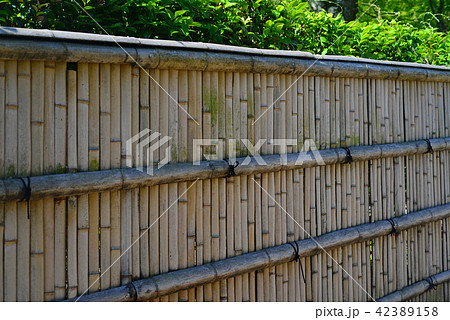 嵯峨野の竹垣-4 嵯峨野の竹垣-4 42389158