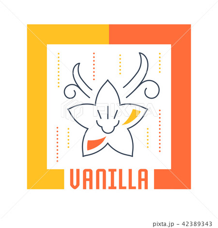 Website Banner and Landing Page of Vanilla. 42389343