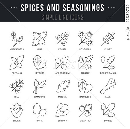 Set Vector Line Icons of Spices and Seasonings. 42389739