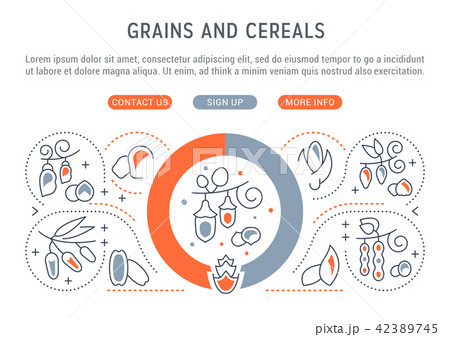 Website Banner of Grains and Cereals. 42389745