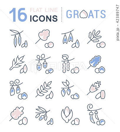 Set Vector Line Icons of Groats 42389747