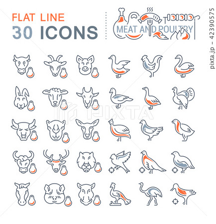 Set Vector Line Icons of Meat and Poultry. 42390575