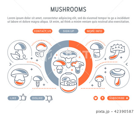 Website Banner and Landing Page of Mushrooms. Website Banner and Landing Page of Mushrooms. 42390587