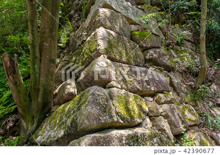 八幡山城址の石垣 八幡山城址の石垣 42390677