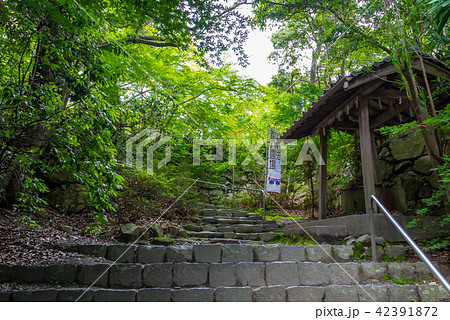 八幡山城 本丸の上り階段虎口 42391872