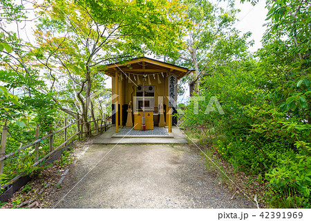 八幡山城 金生稲荷大明神 42391969