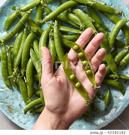 Pear sticks on a woman hand and organic freshly picked green vegetables for preparing vegetarian Pear sticks on a woman hand and organic freshly picked green vegetables for preparing vegetarian 42392182