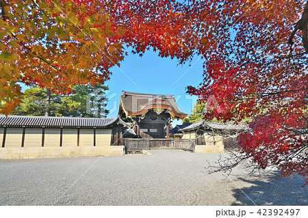 秋色の京都御苑 秋色の京都御苑 42392497