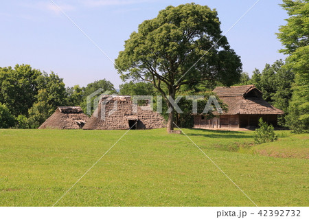 平塚川添遺跡公園（福岡県） 42392732