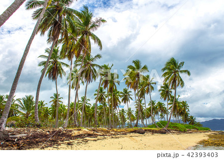Tropical beach and grey sky Tropical beach and grey sky 42393403