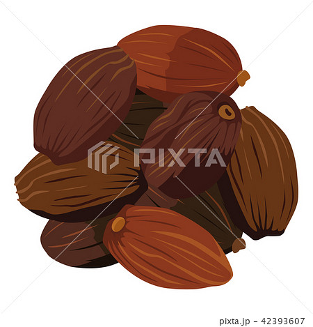 漢方や薬膳料理に使われる草果のイラストのイラスト素材