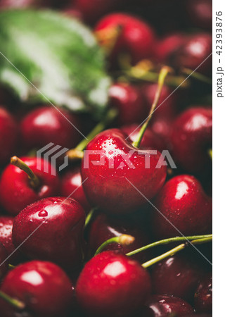 Fresh sweet cherry texture, wallpaper and background, close-up 42393876