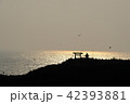 経島の背景のかがやく海 42393881
