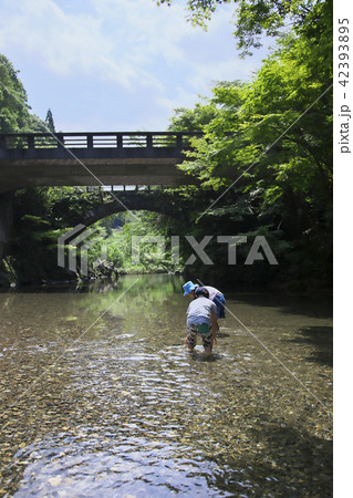 夏の川遊び 42393895