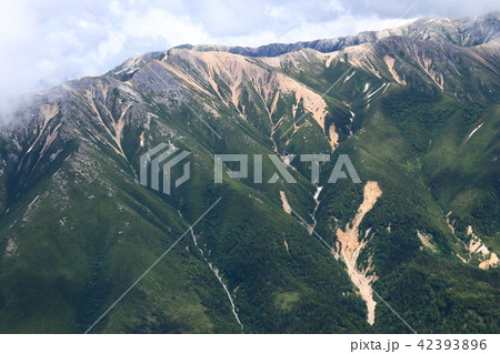 北アルプス薬師岳山頂からの山々　赤牛岳　野口五郎岳 42393896