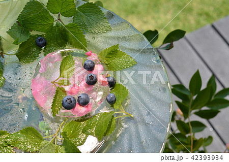 涼イメージ素材、氷、ハーブ、エディブルワラワー、ブルーベリー 42393934