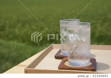 サイダー 42394695