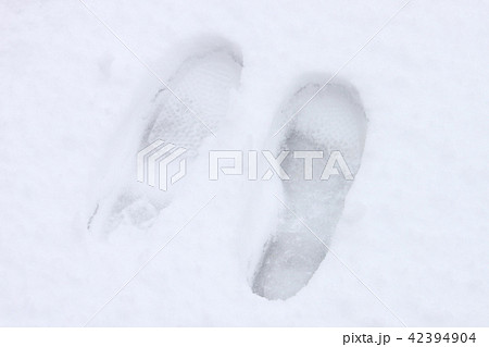 雪のあしあと 雪のあしあと 42394904