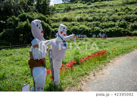 奈良県 明日香 初秋の里山 彼岸花と田んぼ 案山子ロード やってくる園児たち 奈良県 明日香 初秋の里山 彼岸花と田んぼ 案山子ロード やってくる園児たち 42395092