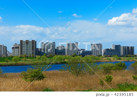 荒川の川原より川の手住宅街を望む 荒川の川原より川の手住宅街を望む 42395185