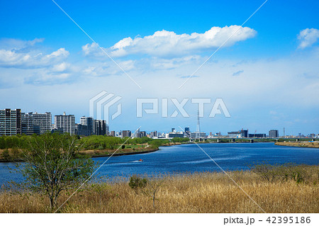 荒川の川原より川の手住宅街を望む 42395186