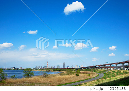 若葉と新緑の荒川の川原より川口元郷の住宅街を望む 若葉と新緑の荒川の川原より川口元郷の住宅街を望む 42395188