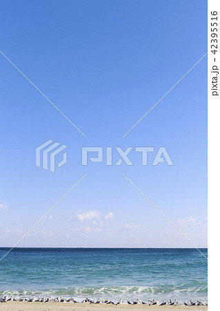 海 蔚珍郡 慶北 42395516