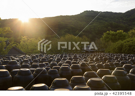 かめ つぼ 通度寺 42395548