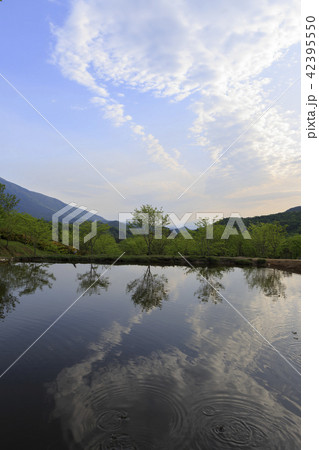 貯水池 通度寺 梁山市 42395550